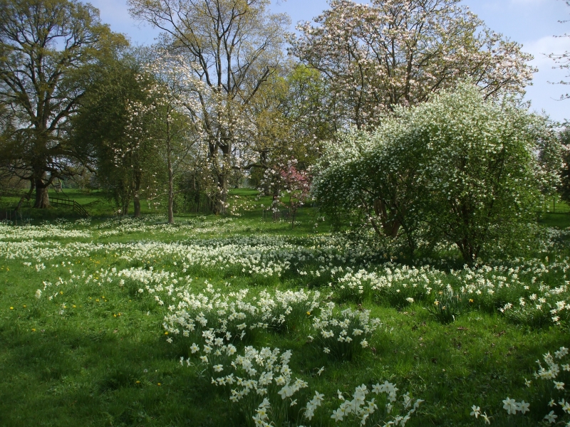 Corsham Court